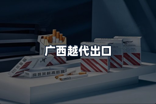 广西越代出口